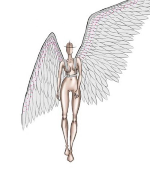 sketch-wings-suit