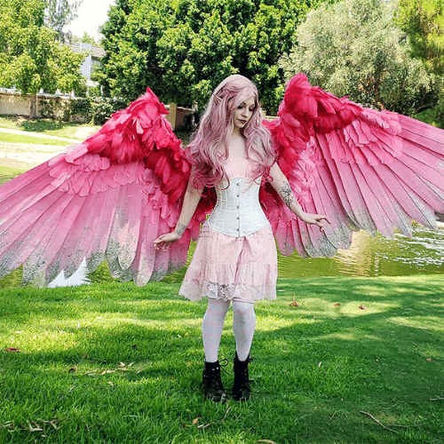 Custom cosplay pink wings idea
