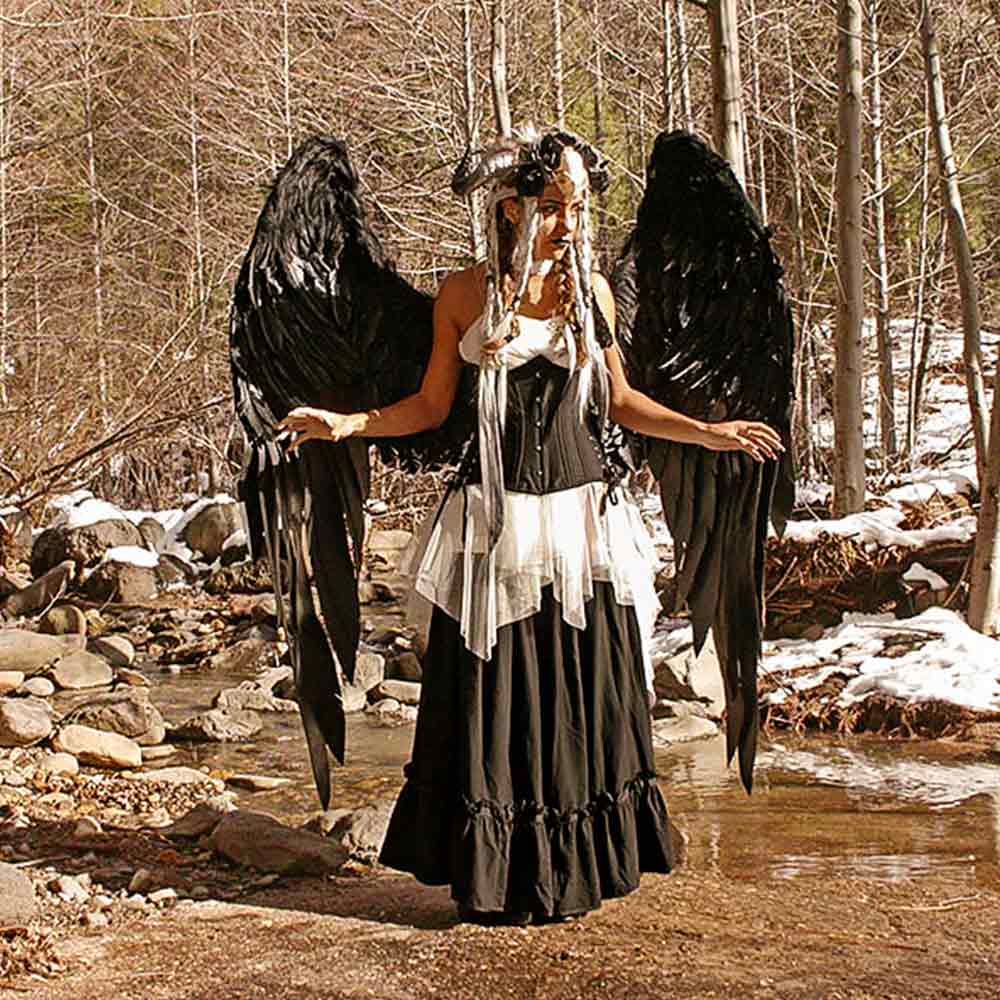 Dark Angel costume idea with large pointed black wings