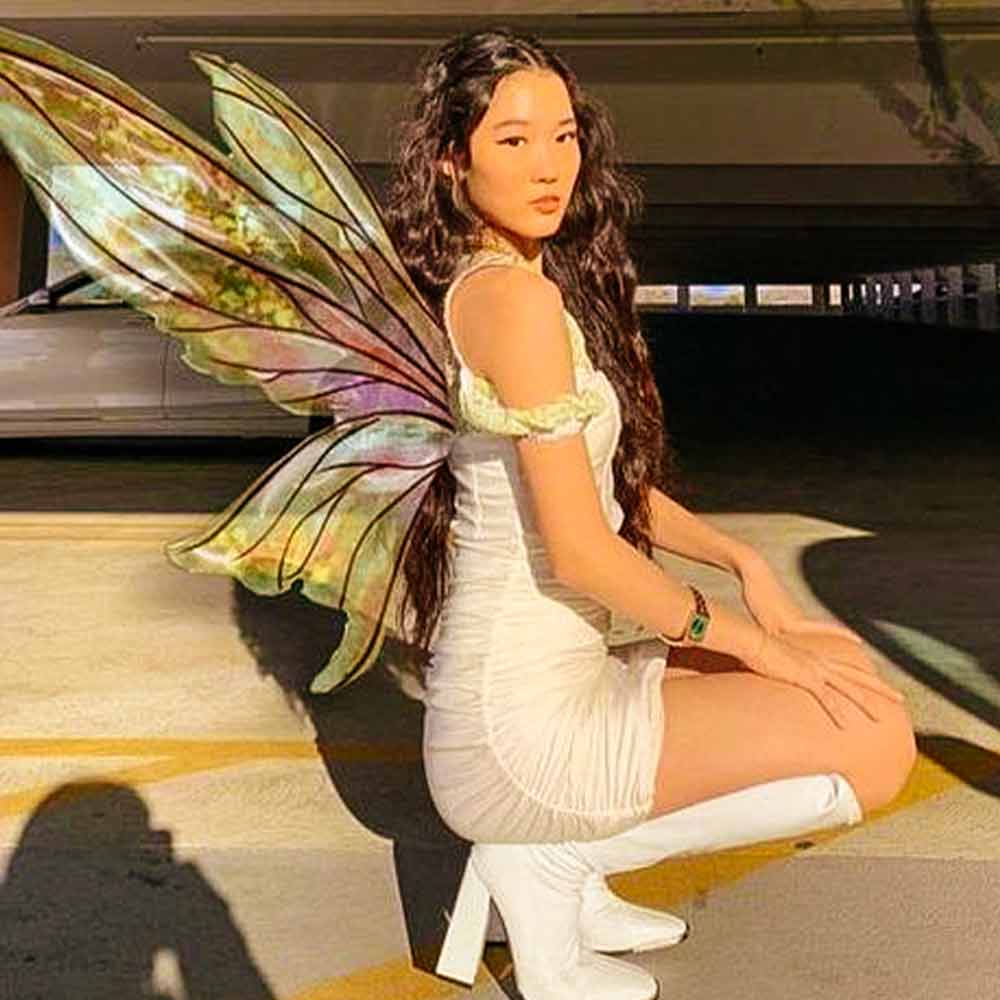 Holographic fairy wings idea