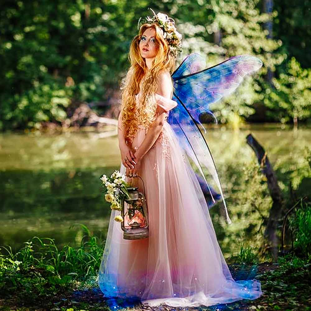 Transparent fairy wings idea