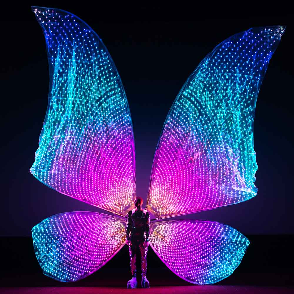 huge-light-up-butterfly-wings-for-performances-on-the-street-and-on-the-big-stage