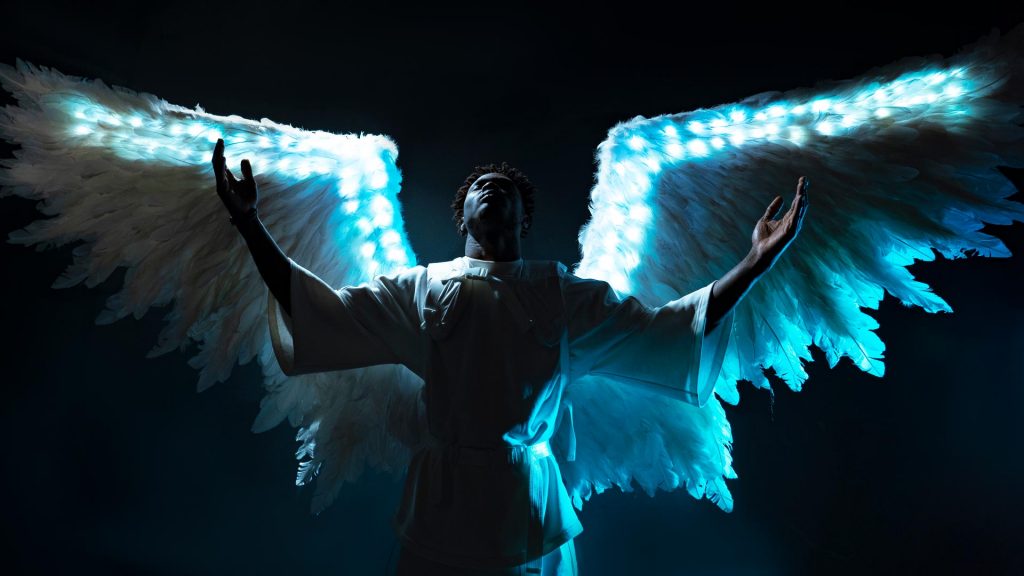 led-man-wings