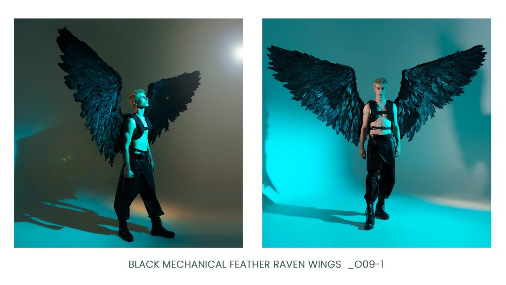 black-wings