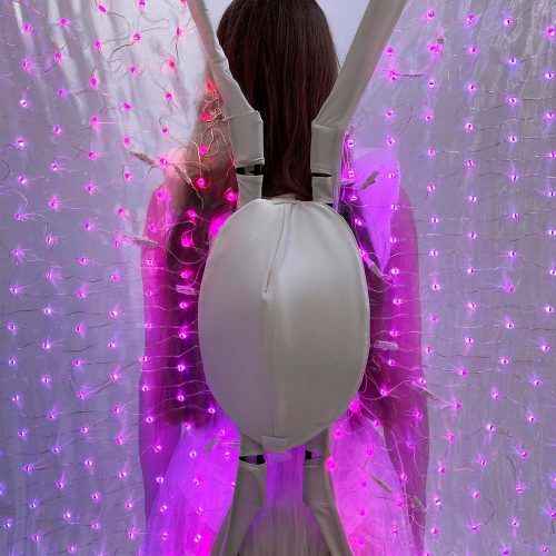 backpack-for-a-large-LED-butterfly