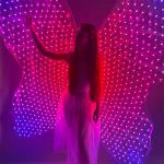 led-butterfly-wings-suit-for-adults