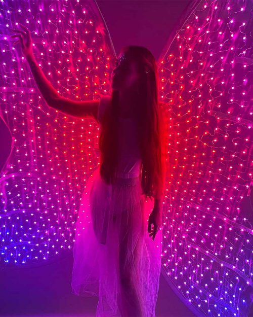 LED Bellydance Wings at an affordable price - Light Solutions ETERE