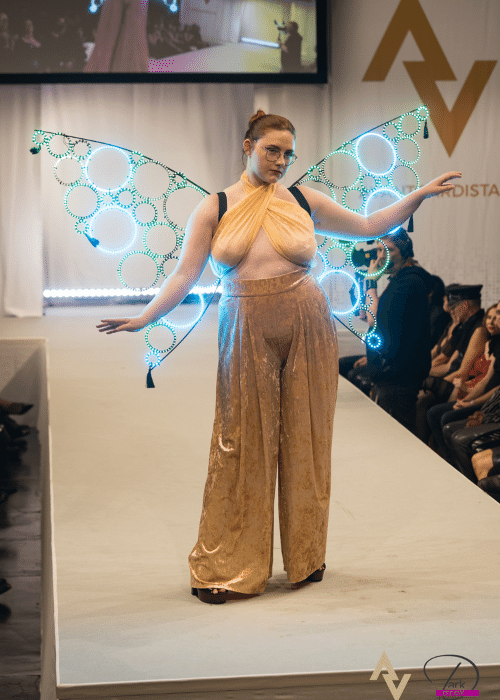 Butterfly costume with programmed LED wings