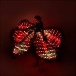 Large Light up Flower Dance Costume for Performances and Events