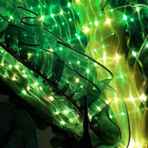 details of the dancing led flower costume