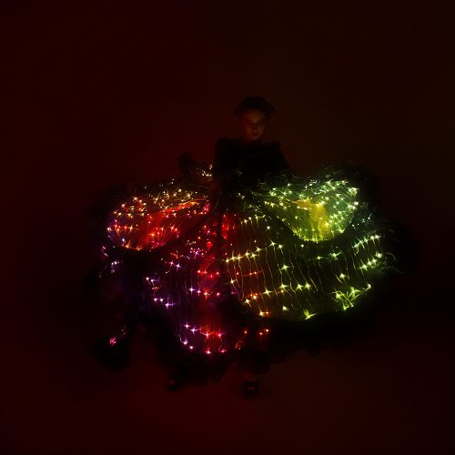 led flower costume for performances