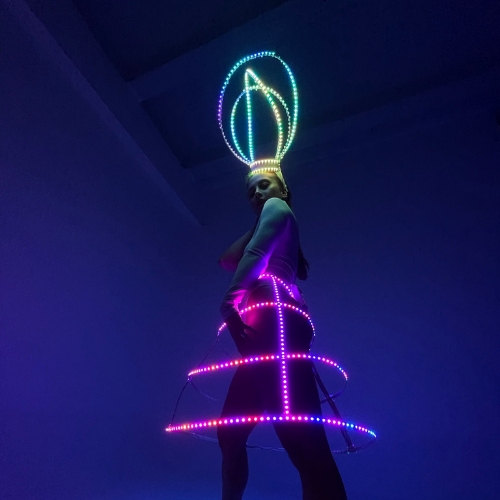 LED Light up cage costume