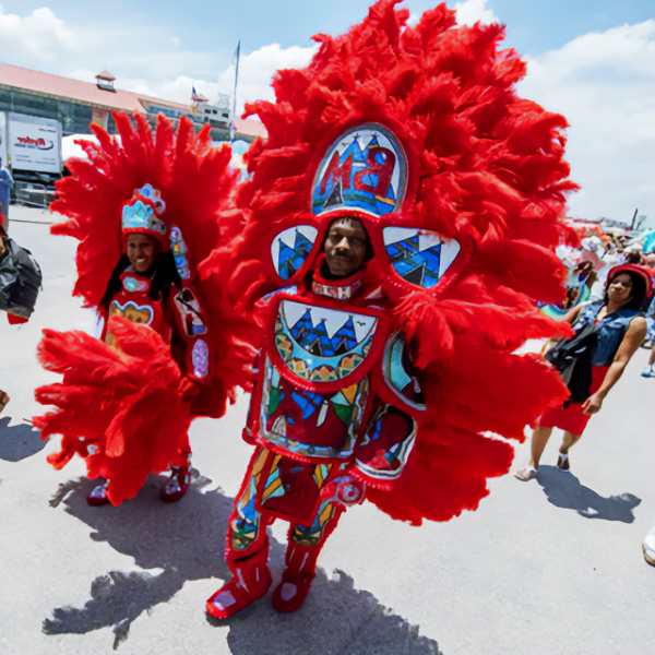 Such a bright Mardi Gras costume is impossible to notice. Huge red feathers give it special charm.