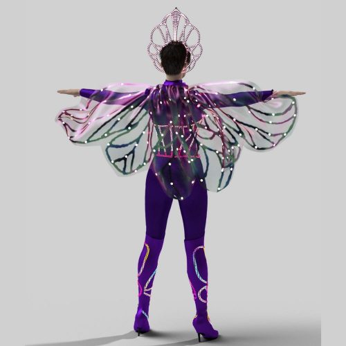 Wings Costume with LED crown