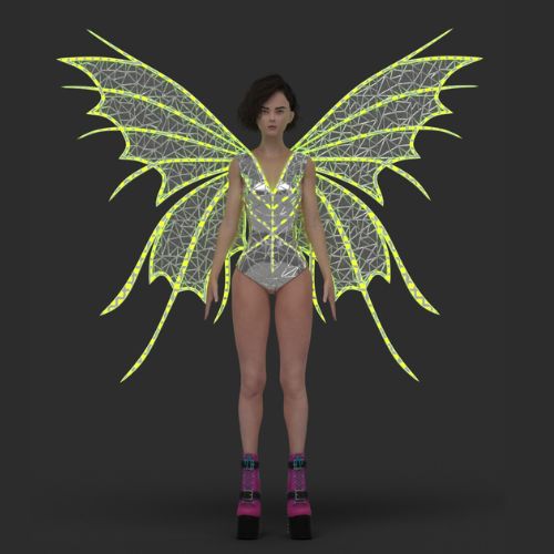 Led light up Mirror Wings Costume