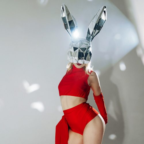 mirror-mask-on-the-head-of-a-hare-for-dancing