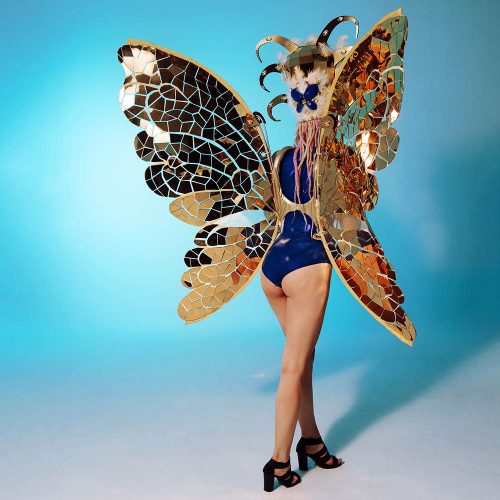 stage-mirror-butterfly-costume-for-artists