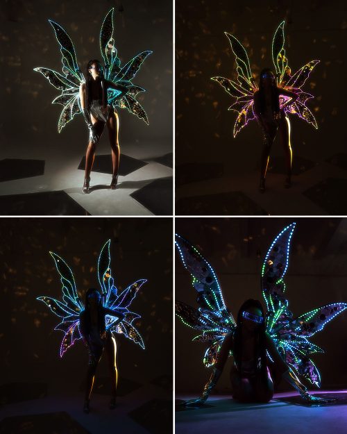 adults-wings-fairy-costume