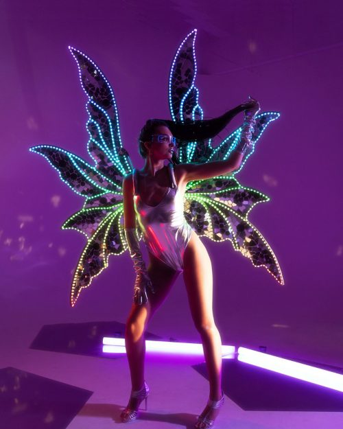 big-fairy-wings-costume