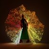 Led-light-up-Peacock-Costume