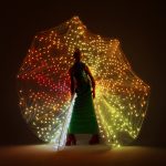 Led-light-up-Peacock-Costume