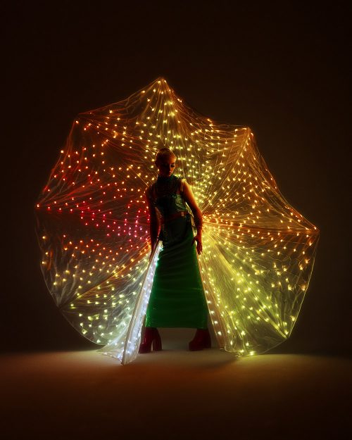 Led-light-up-Peacock-Costume