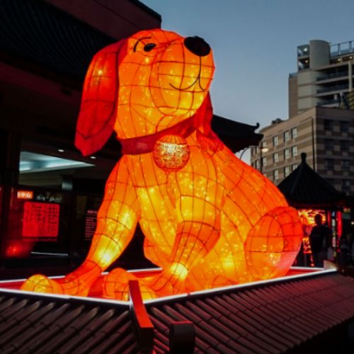 Street-glowing-installation-dogs