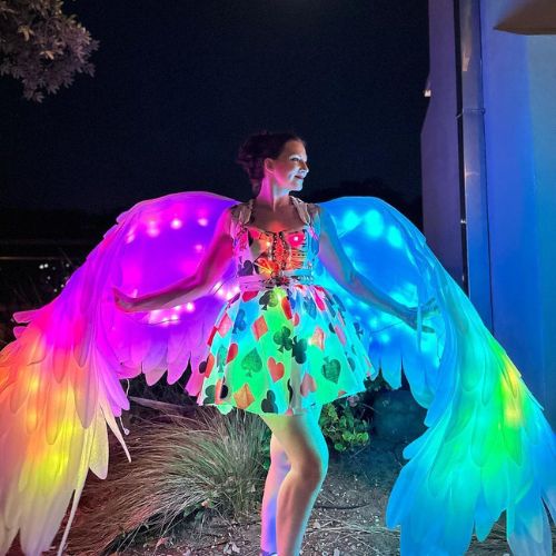 Angel wings costume glow in the dark