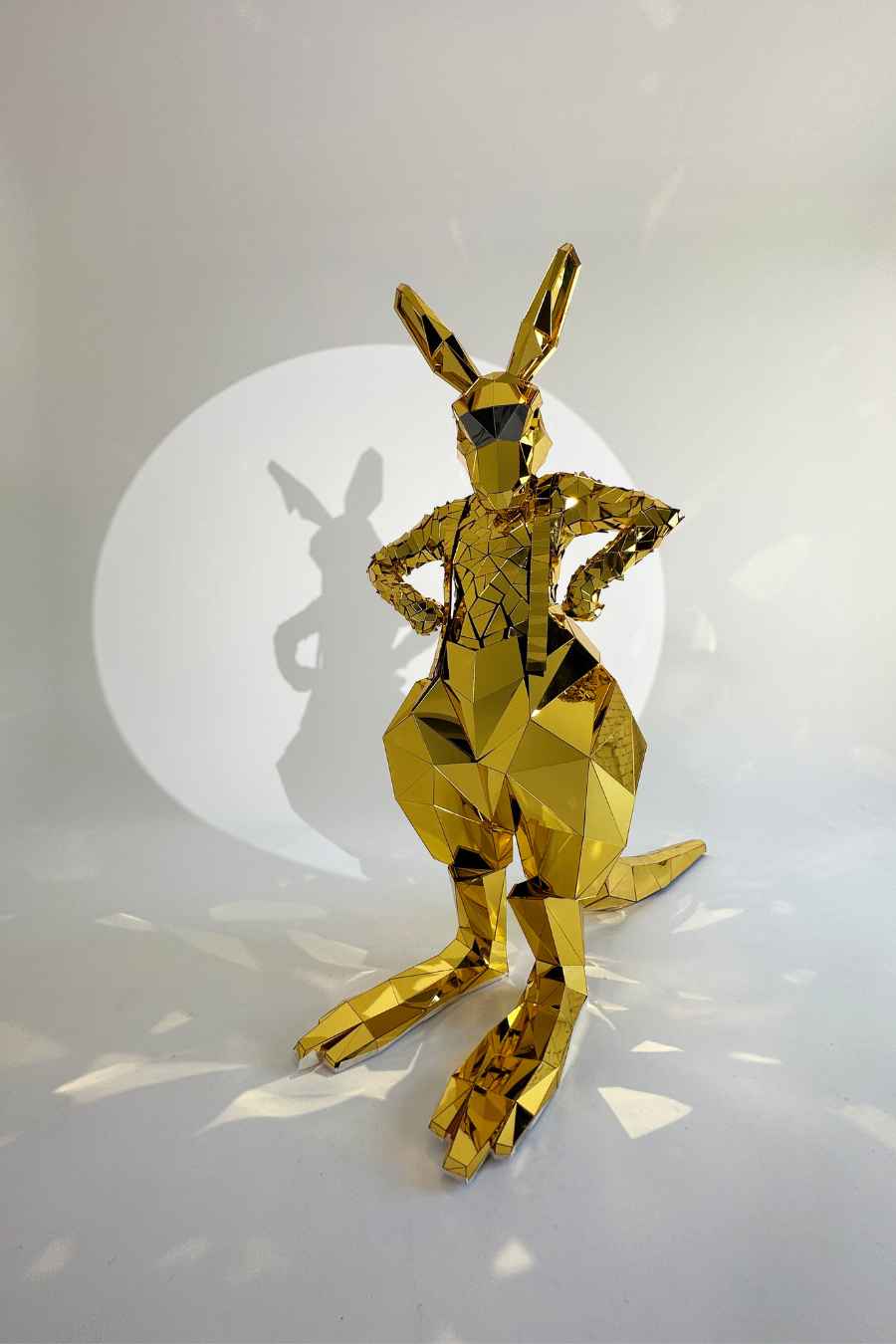 Kangaroo costume clearance