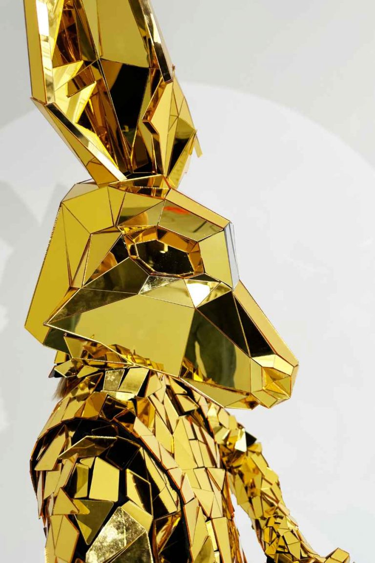 Adult Mirror Kangaroo Costume