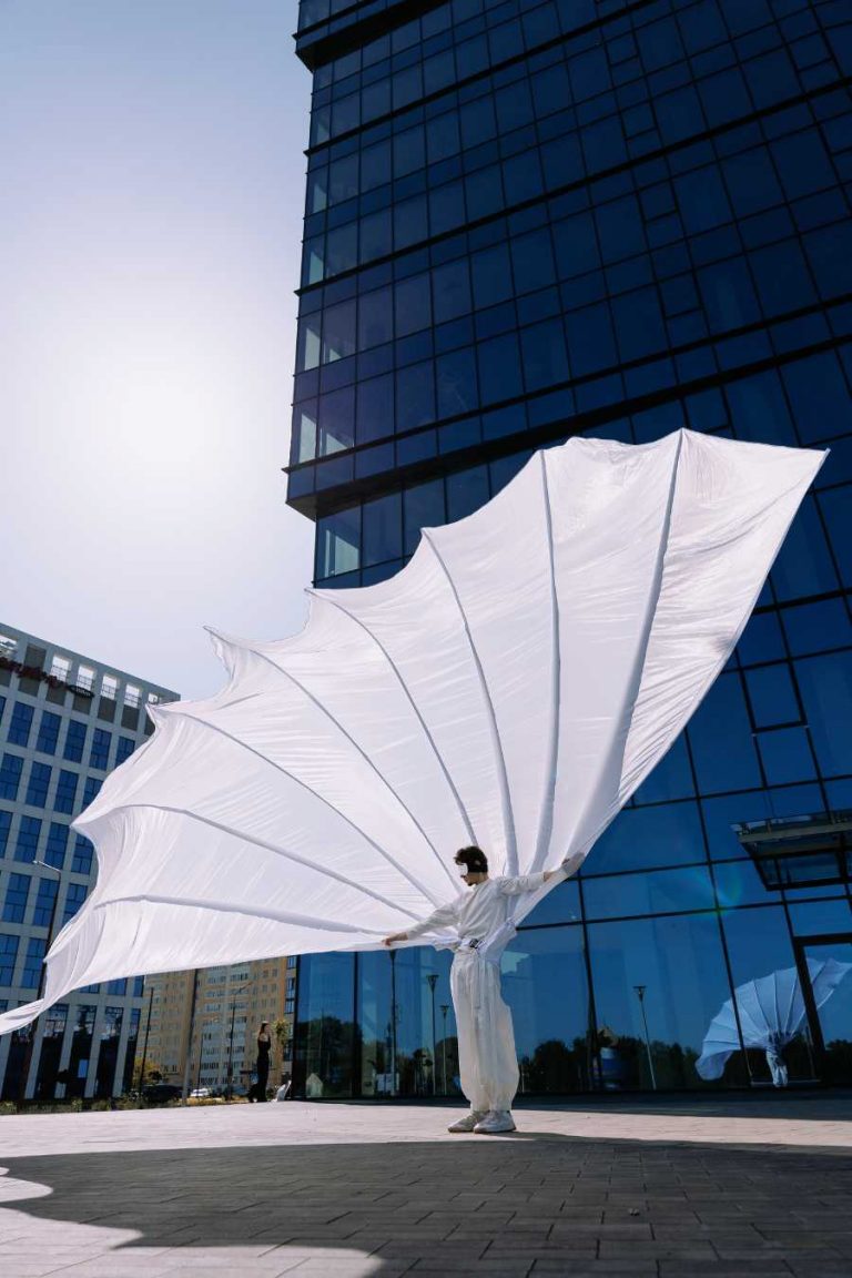 Big peacock tail costume
