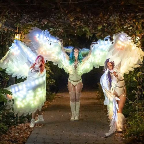 dancers with glowing wings costume
