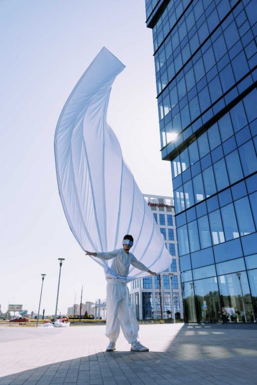 flexible-huge-white-peacock-tail-for-performances