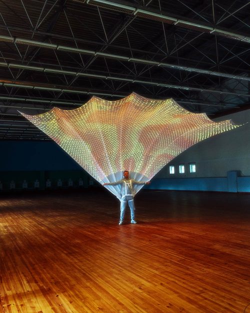 LED peacock tail for festival