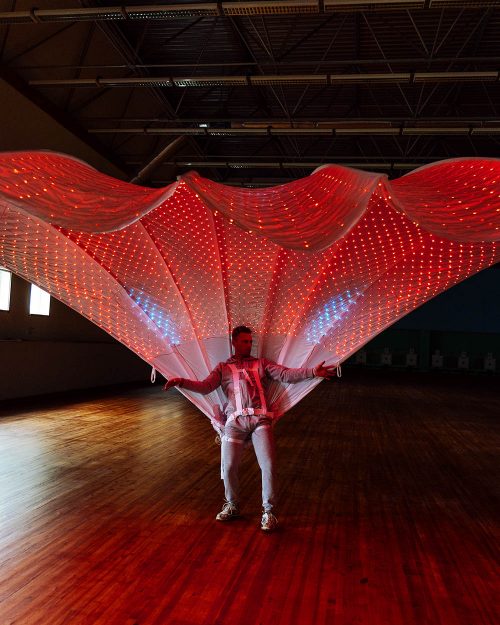 Unique LED peacock tail for carnival, festival, party