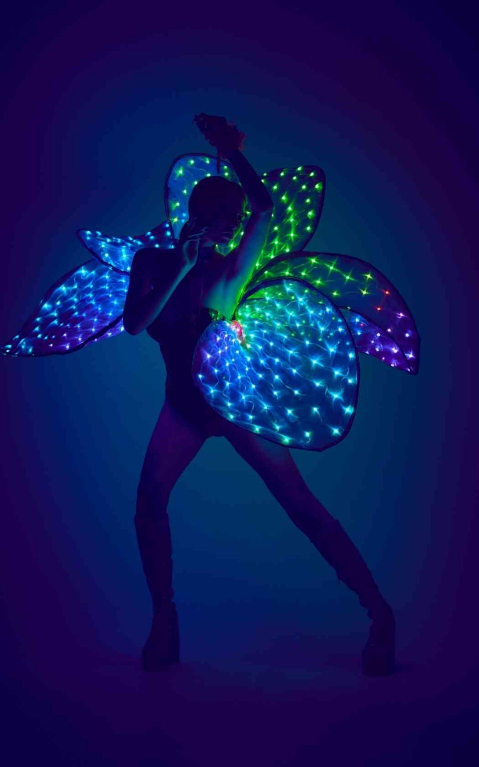 Lei Fluorescent Multi Colour Large Petals Costume Accessory