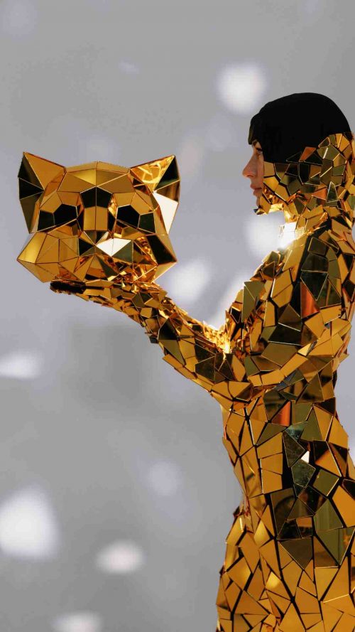 mirror gold cat costume